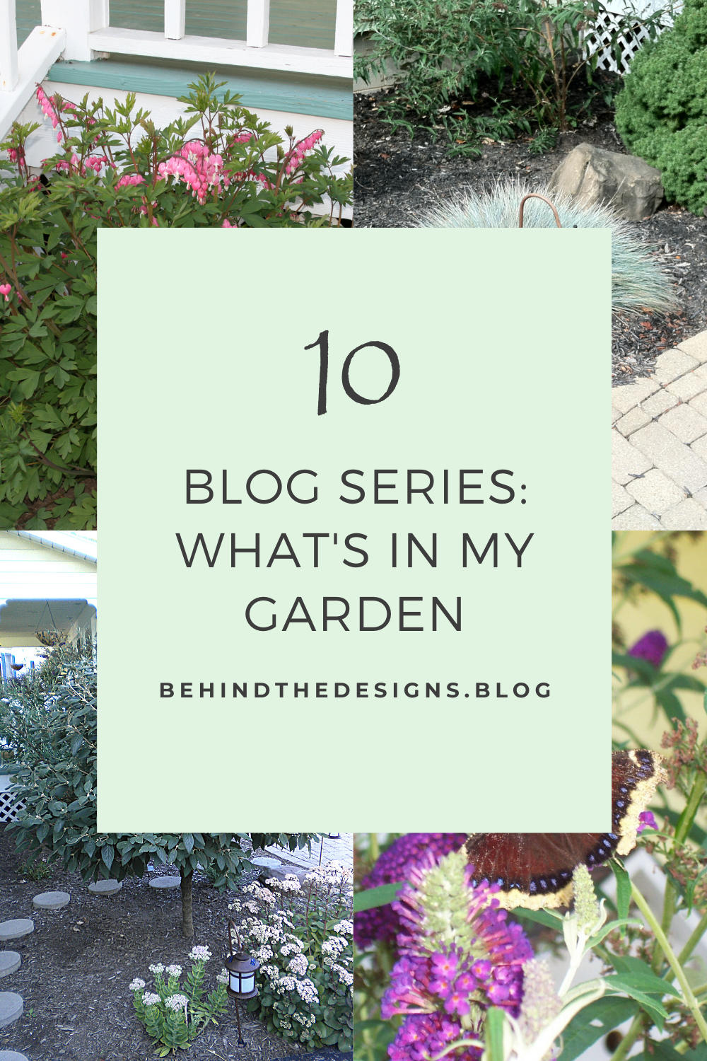 What’s in My Garden Blog Series