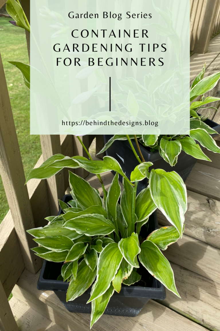 Container Gardening Tips for Beginners | Behind the Designs Blog