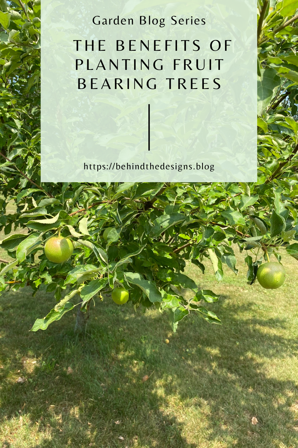 The Benefits of Planting Fruit Bearing Trees