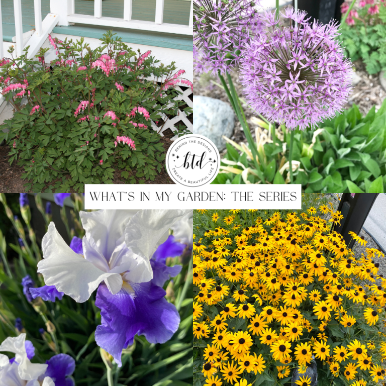 What’s in My Garden: The Series