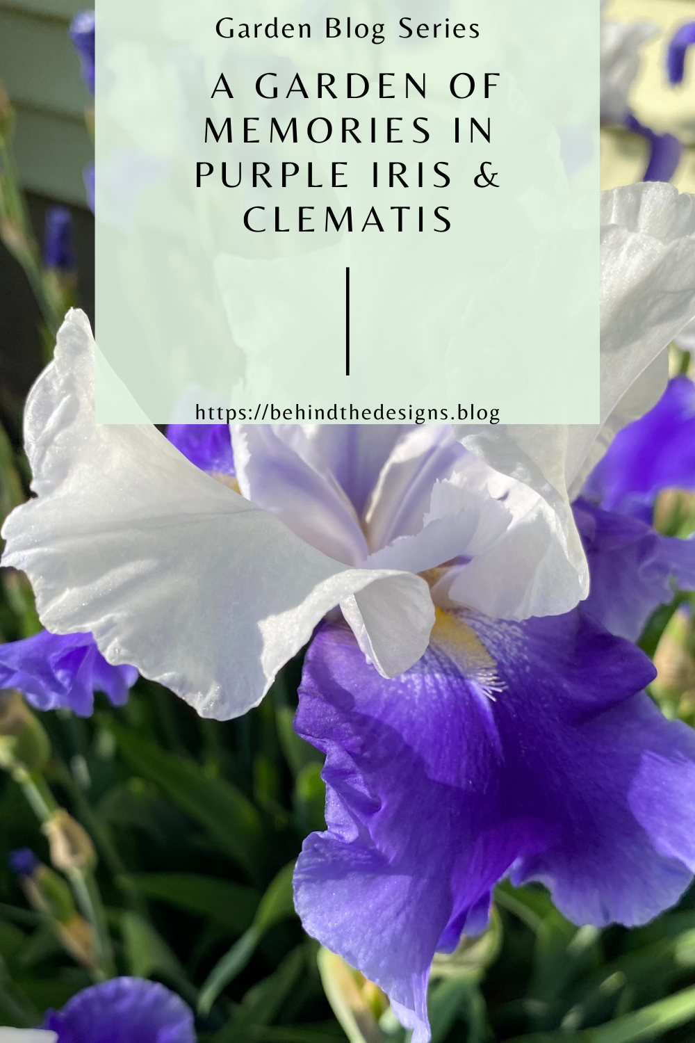 A Garden of Memories Brimming With Irises and Clematis
