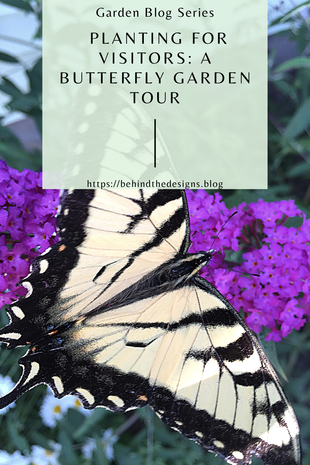 Planting For Visitors A Butterfly Garden Tour