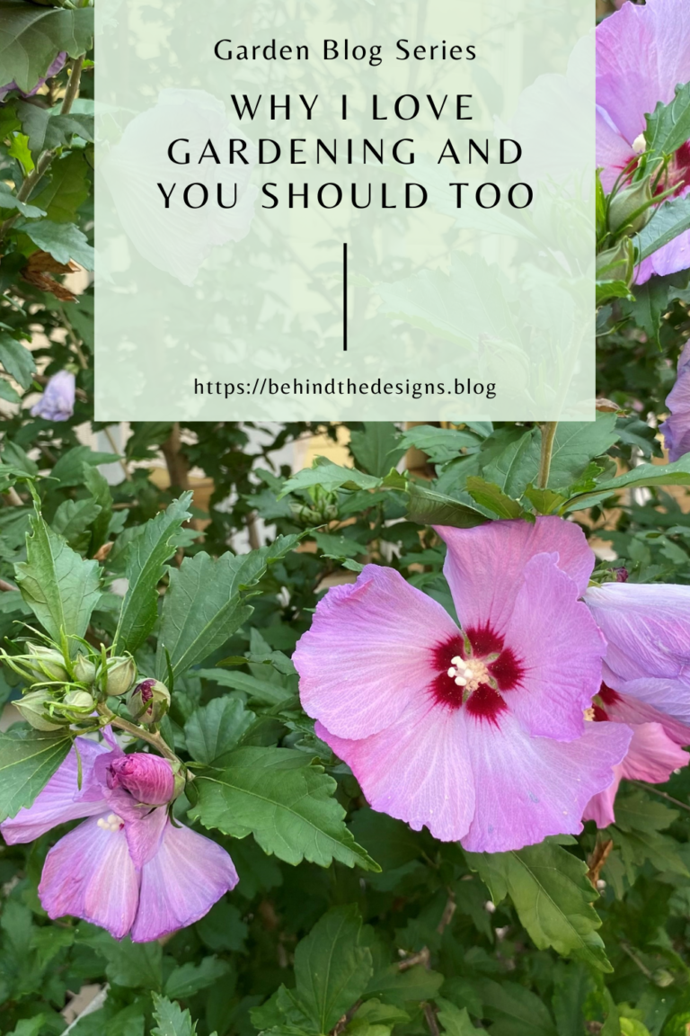 Why I Love Gardening and You Should Too